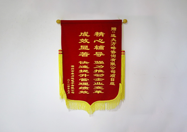 精心輔導(dǎo)，強力推動企業(yè)變革